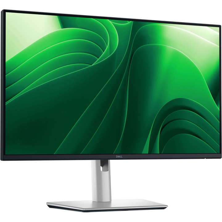 DELL PRO 24 PLUS MONITOR P2425D